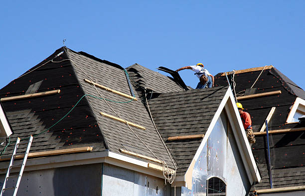 Best Gutter Installation and Roofing  in Auburndale, FL